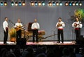 Folklore concert Royalty Free Stock Photo
