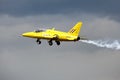 Folland Gnat T.1 XR991/ G-MOUR