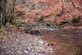 Follow the brown leaf-strewn path along the river in Faedo de CiÃ±era,