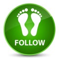 Follow (footprint icon) elegant green round button Royalty Free Stock Photo