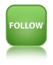 Follow special soft green square button