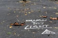 Follow the light message on the ground covered with dried leaves