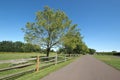 Walking along the path on a summer day.