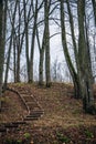 Follow the path wooden path and stairs lead up in to the woods on a sunny day in autumn