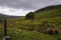 Walking in the Galty mountans in co tipperary