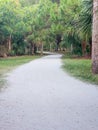 Follow the White Sandy Path Royalty Free Stock Photo