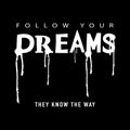 Follow your dreams / T shirt graphics slogan tee / Textile vector print design