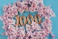 1000 followers card. Template for social networks, blogs. Background with pink flower petals