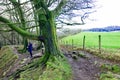 Following the route on a winter walk at Scaleber Foss, North Yorkshire.