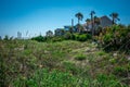 Folly beach charleston south carolina on atlantic ocean Royalty Free Stock Photo