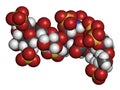 Fondaparinux anticoagulant drug molecule. 3D rendering. Atoms are represented as spheres with conventional color coding: hydrogen