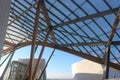 Fondation Louis Vuiton Roof - Frank Gehry