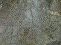 Fondo textura de piedras mojadas / background bricks texture