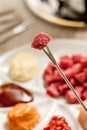 Fondue Bourguignonne Royalty Free Stock Photo