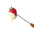 Fondue fork with strawberry dipped into chocolate Royalty Free Stock Photo