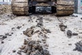 Font of aterpillar tractor loader working on ground clay