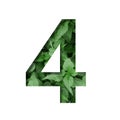 Font made of leaves, digit four, 4, cut out of paper on a background of natural green nettle.Fresh young natural leaf volumetric