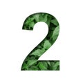 Font made of leaves, digit two, 2, cut out of paper on a background of natural green nettle leafs.Fresh young natural leaf