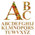 Font made with leaves, floral alphabet letters set Royalty Free Stock Photo