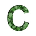 Font made of leaves, letter C, cut out of paper on a background of natural green nettle. Fresh young natural leaf volumetric Earth