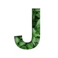 Font made of leaves, letter J, cut out of paper on a background of natural green nettle. Fresh young natural leaf volumetric Earth