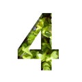 Font on micro greenery. The digit four, 4 cut out of paper on the background of sprouts of fresh bright micro greenery for food.