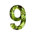 Font on micro greenery.The digit nine, 9 cut out of paper on the background of sprouts of fresh bright micro greenery for food.