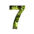 Font on micro greenery.The digit seven, 7 cut out of paper on the background of sprouts of fresh bright micro greenery for food.