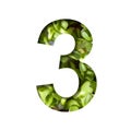 Font on micro greenery. The digit three, 3 cut out of paper on the background of sprouts of fresh bright micro greenery for food.