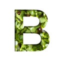 Font on micro greenery.The letter B cut out of paper on the background of sprouts of fresh bright micro greenery for food. Set of