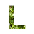 Font on micro greenery. The letter L cut out of paper on the background of sprouts of fresh bright micro greenery for food. Set of