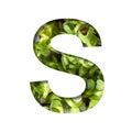 Font on micro greenery. The letter S cut out of paper on the background of sprouts of fresh bright micro greenery for food. Set of