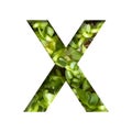 Font on micro greenery. The letter X cut out of paper on the background of sprouts of fresh bright micro greenery for food. Set of