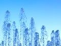 Fontain waterdrops on blue sky background