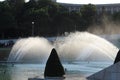 Fontaine du Jardins du TrocadÃÂ©ro