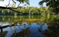 Seine river bank and fontainebleau forest Royalty Free Stock Photo