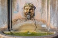 Fontana della Pigna or Pinecone fountain at the Vatican Museums