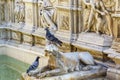 Fonte Gaia fountain situated at the very heart of the city in Piazza del Campo in Siena, Tuscany, Italy Royalty Free Stock Photo