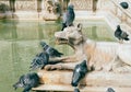 Fonte Gaia in Piazza del Campo, Siena, Tuscany, Italy Royalty Free Stock Photo