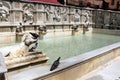 Fonte Gaia, monumental fountain located in the Piazza del Campo in the center of Siena, Italy Royalty Free Stock Photo