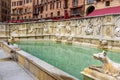 Fonte Gaia is monumental fountain in Piazza del Campo in Siena. Italy Royalty Free Stock Photo