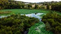 Etang de Fontmerle, Lotus pond/ lake in Mougins, South of France