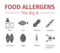Food allergens flat icons. A group of the eight major allergenic foods is often referred to as the Big-8. Royalty Free Stock Photo