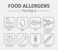 Food allergens line icons. A group of the eight major allergenic foods is often referred to as the Big-8.