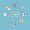 Food allergens line icons. A group of the eight major allergenic foods is often referred to as the Big-8. Royalty Free Stock Photo