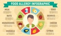 Food allergy infographic, flat style