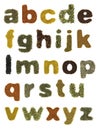 Food alphabet