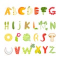 Food alphabet vector