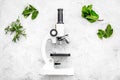 Food analysis. Pesticides free vegetables. Herbs rosemary, mint near microscope on grey background top view copy space