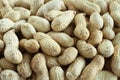 Food background - big peanuts in shells situated arbitrarily Royalty Free Stock Photo